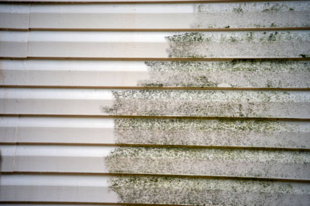 Best Siding Removal and Disposal  in Crosbyton, TX